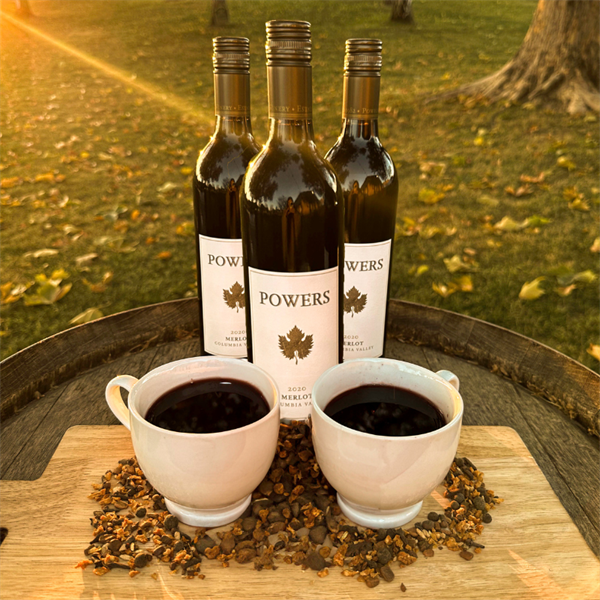 https://badgerpowers-shop.vintegrate.com/content/images/thumbs/0000342_powers-merlot-mulled-wine-set_600.png